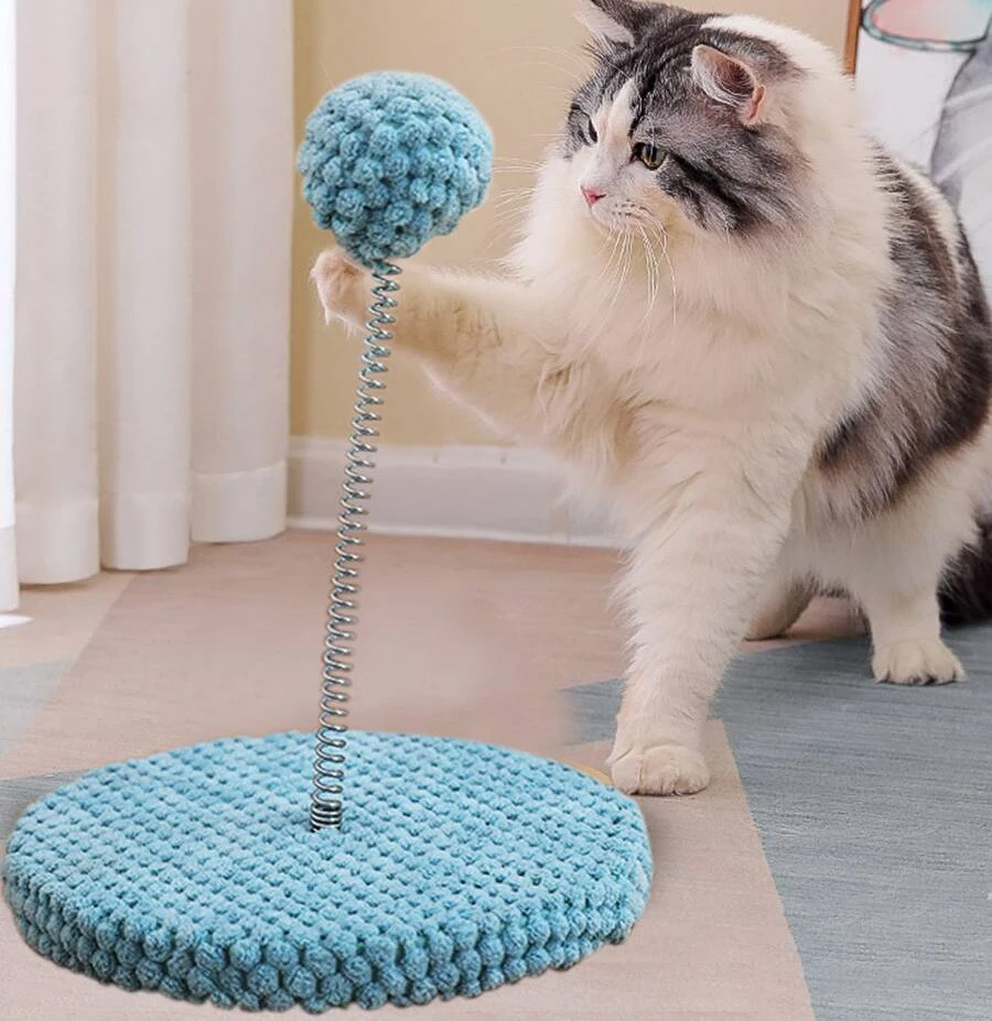 Cat Scratching Teaser Toy Spring Scratcher