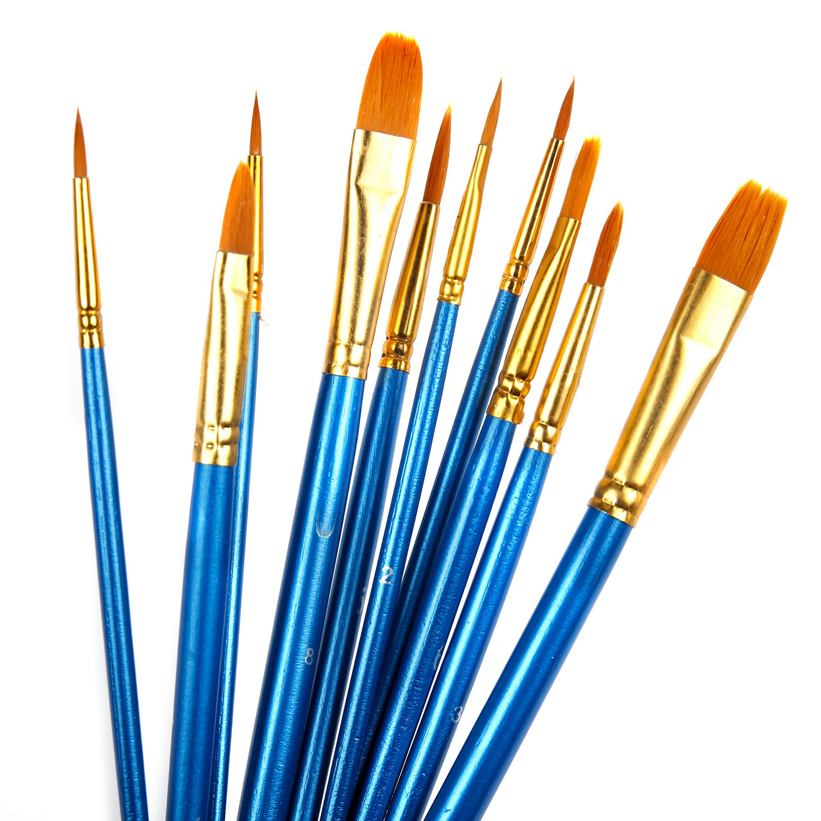 10PCS Paint Brush Set Artist Paintbrushes Kit (Blue)