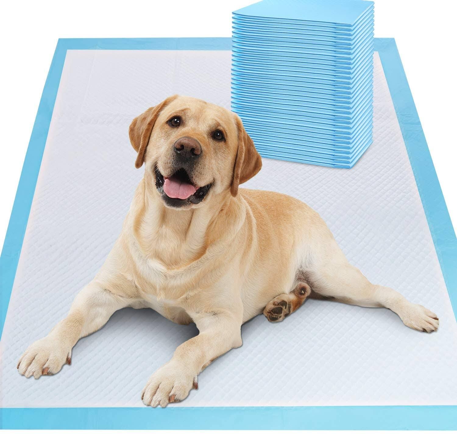 40 X Large Puppy Pads Dog Toilet Training Mats (60cm x 60cm)