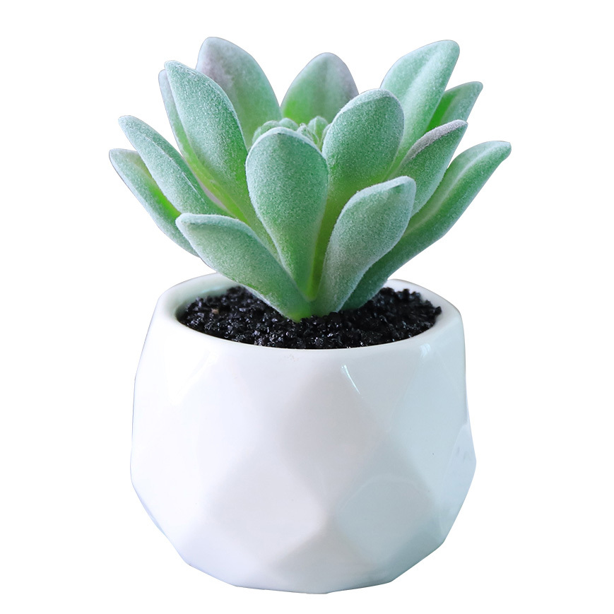 Artificial Succulent Pot Plant