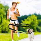 Dog Leash Hand Free Running Bungee Dog Lead