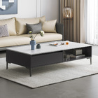 Minimalist Large Coffee Table with Storage