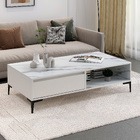 Minimalist Large Coffee Table with Storage