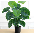 Pack of Two 18-Leaf Real Touch Artificial Elephant's Ears Plants Alocasia Trees In Pots