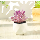 Artificial Succulent Pot Plant