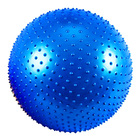 75cm Large Professional Gym Yoga Massage Exercise Ball