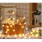 20 Star Lights LED String Light Home Garden Decorations (3m, 20LED)